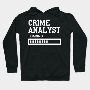 Funny Crime Analyst Job Lover Gift Idea Hoodie